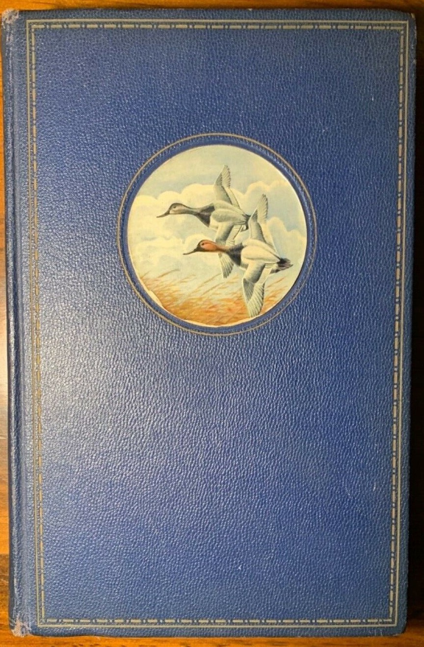 Image for DE SHOOTINEST GENT'MAN AND OTHER TALES,
